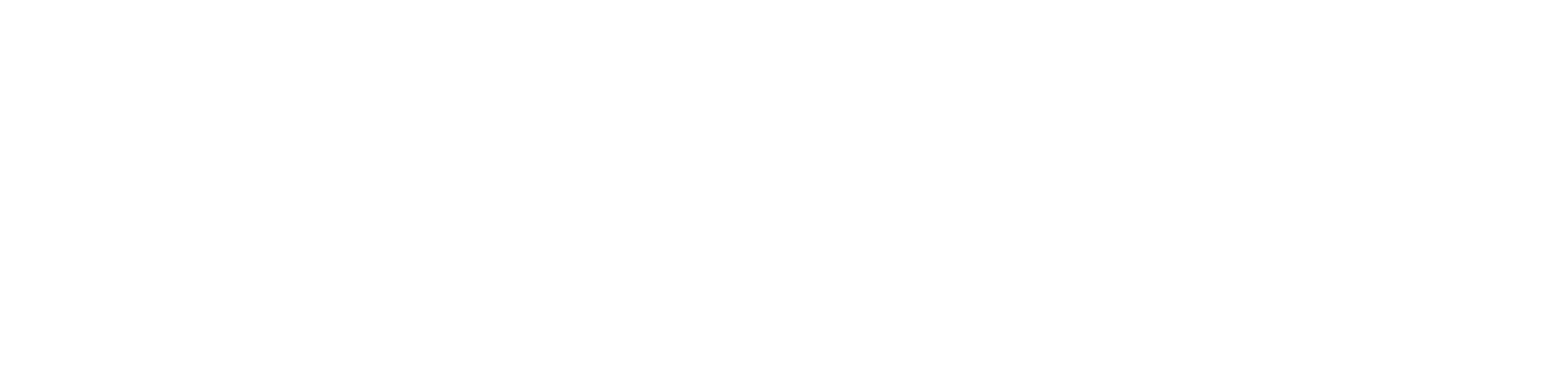Solve IT